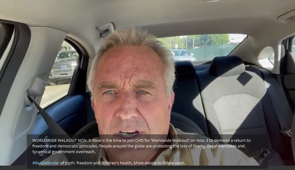 WORLDWIDE WALKOUTNOV. 3 NowIsTheTimeToJoinCHDfor ‘WorldwideWalkout!’Nov3ToDemandaReturnToFeedomAndDemocraticPrinciplesPh2 WORLDWIDE WALKOUTNOV. 3 NowIsTheTimeToJoinCHDfor ‘WorldwideWalkout!’Nov3ToDemandaReturnToFeedomAndDemocraticPrinciplesPh2